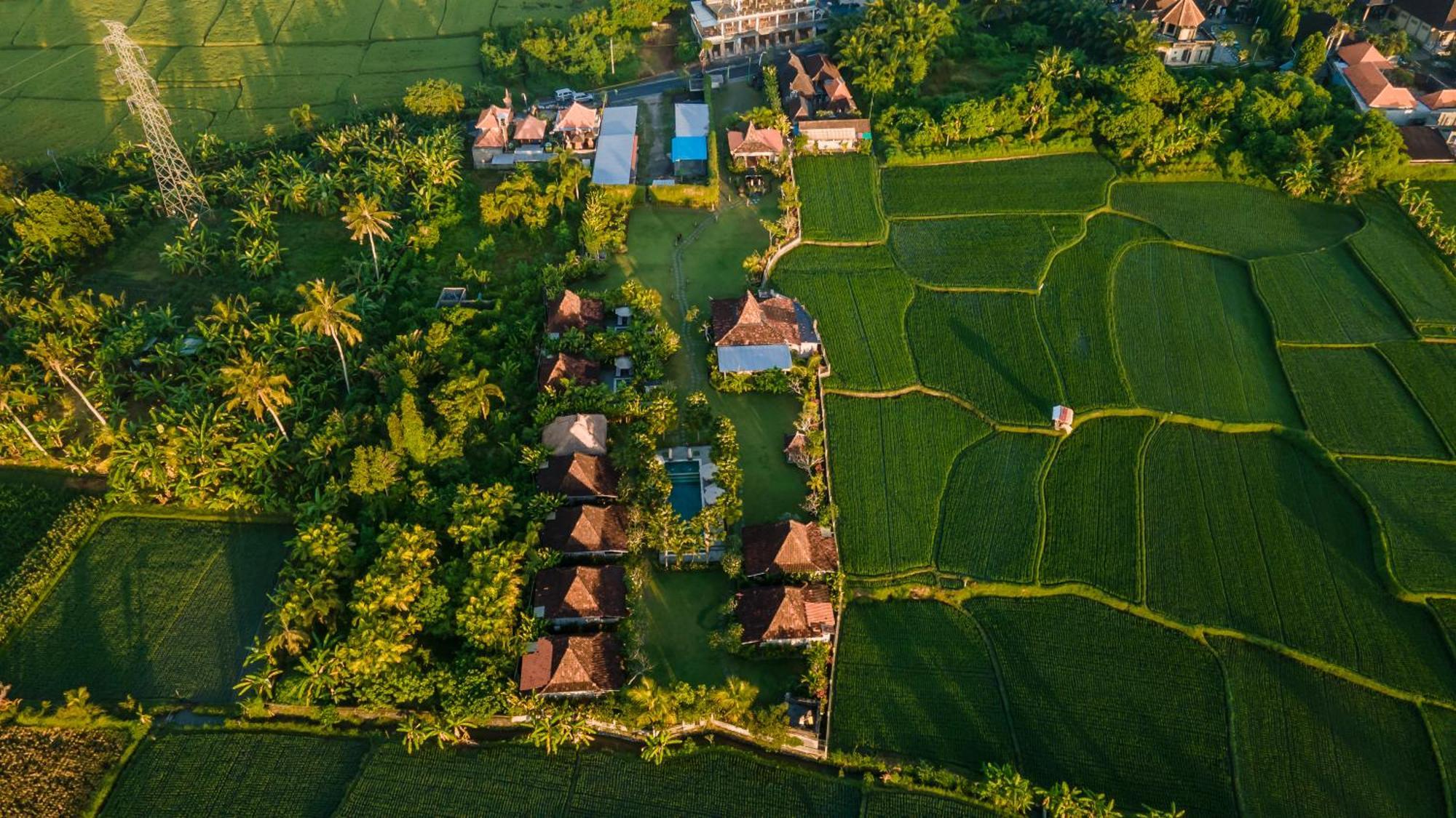 Aswanaya Villas Ubud Exterior photo