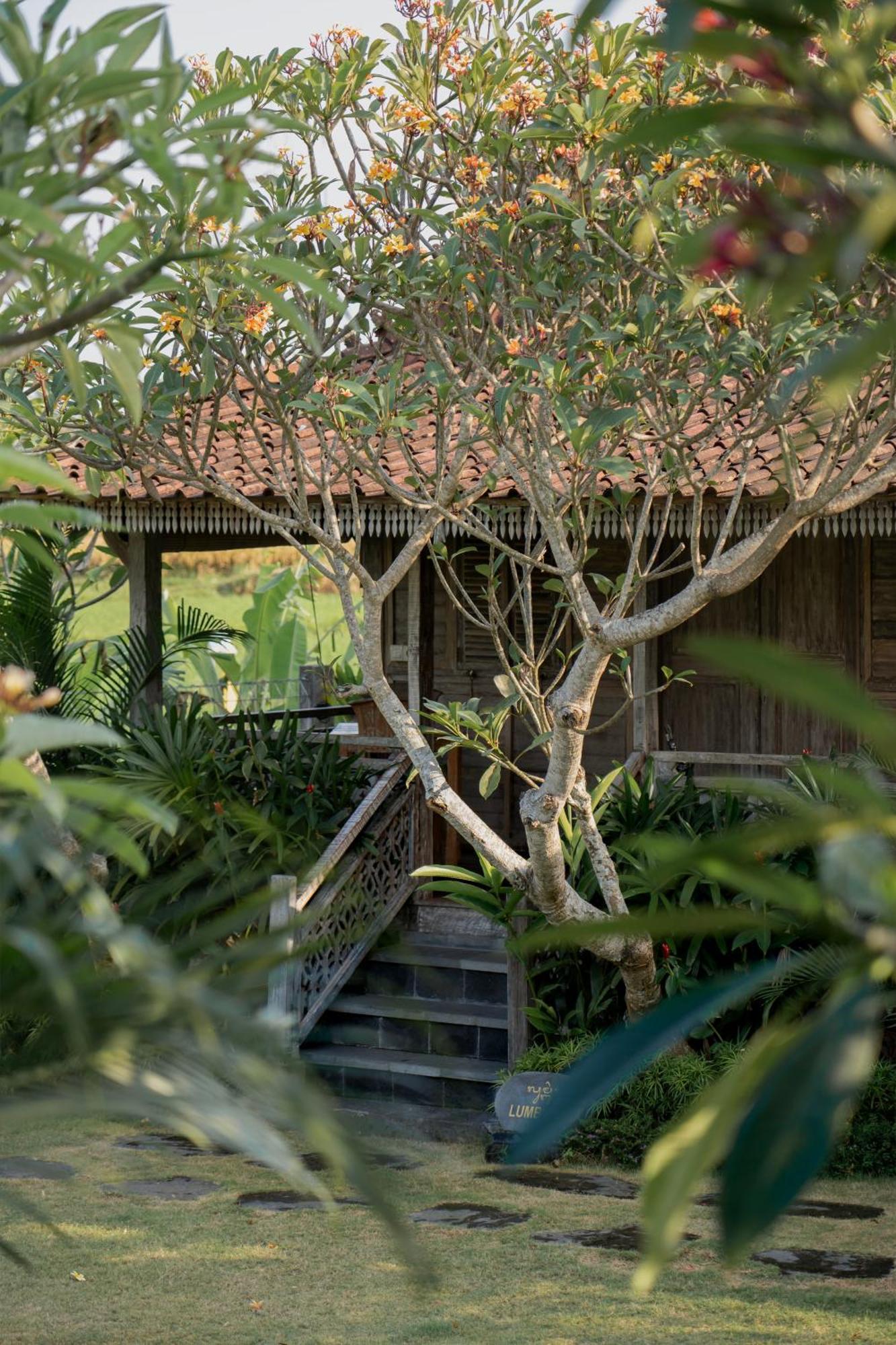 Aswanaya Villas Ubud Exterior photo